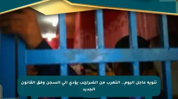 تنويه عاجل اليوم.. التهرب من الضرائب يؤدي إلى السجن وفق القانون الجديد
